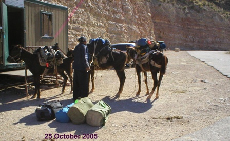 25 October 2005 - Delbert helped us get loaded onto the Mules