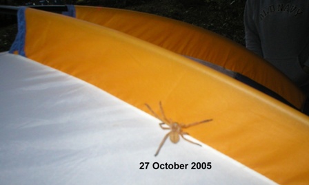 27 October 2005 - Young Women out of Supai, Arizona