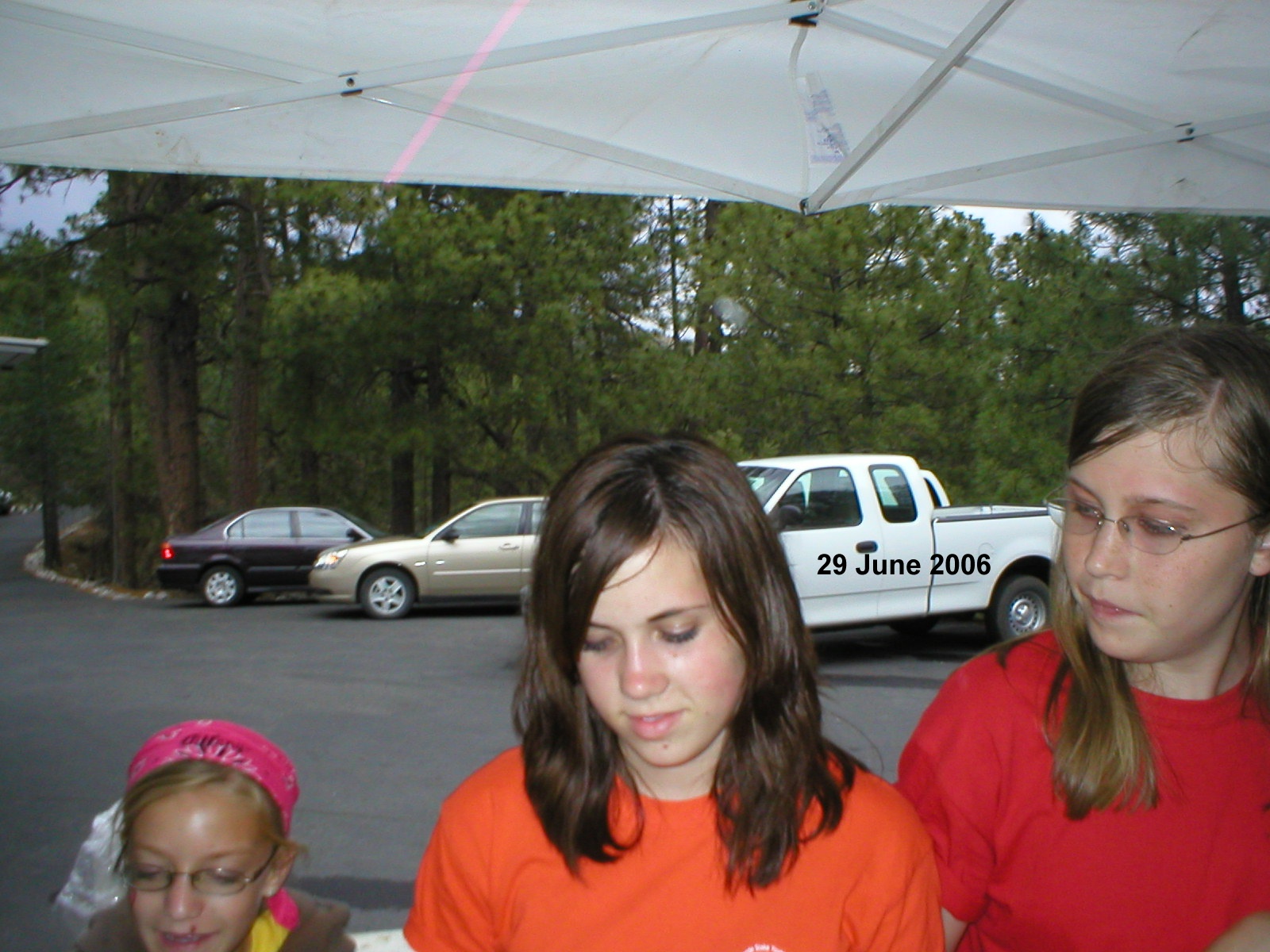 29 June 2006