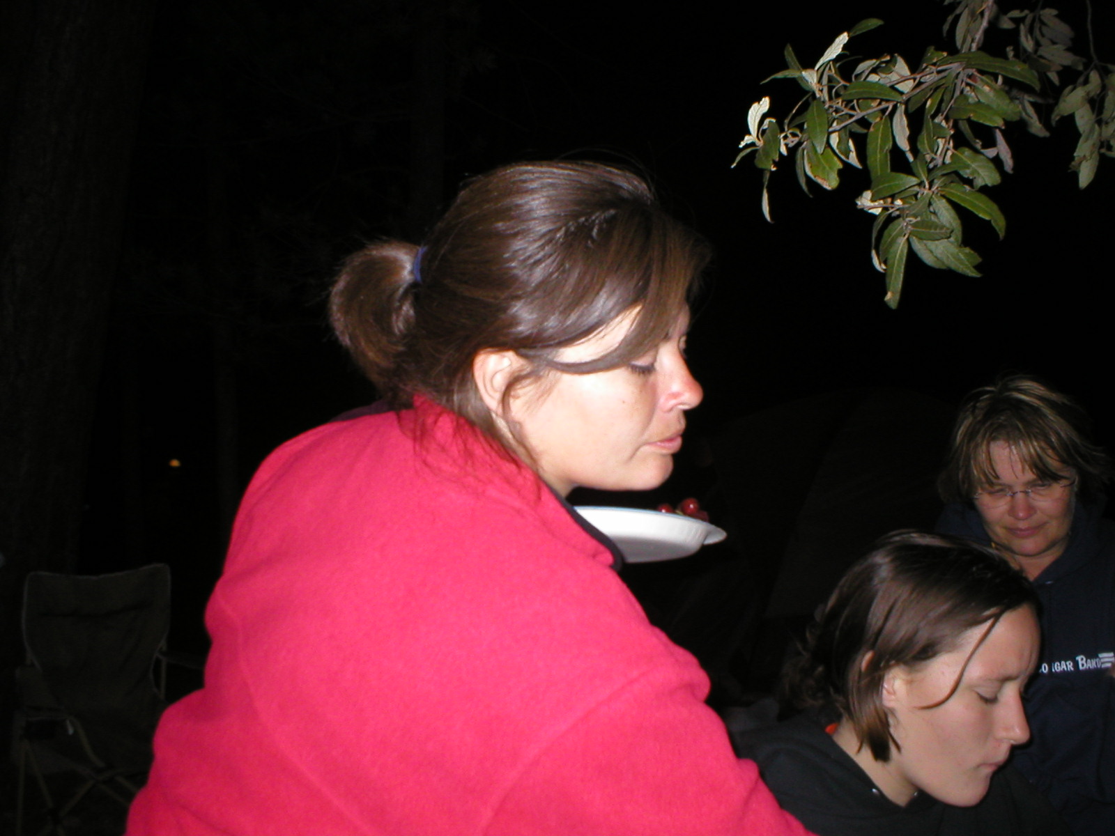 29 June 2006