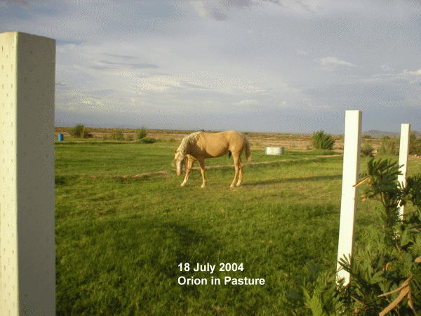 18 July 2004