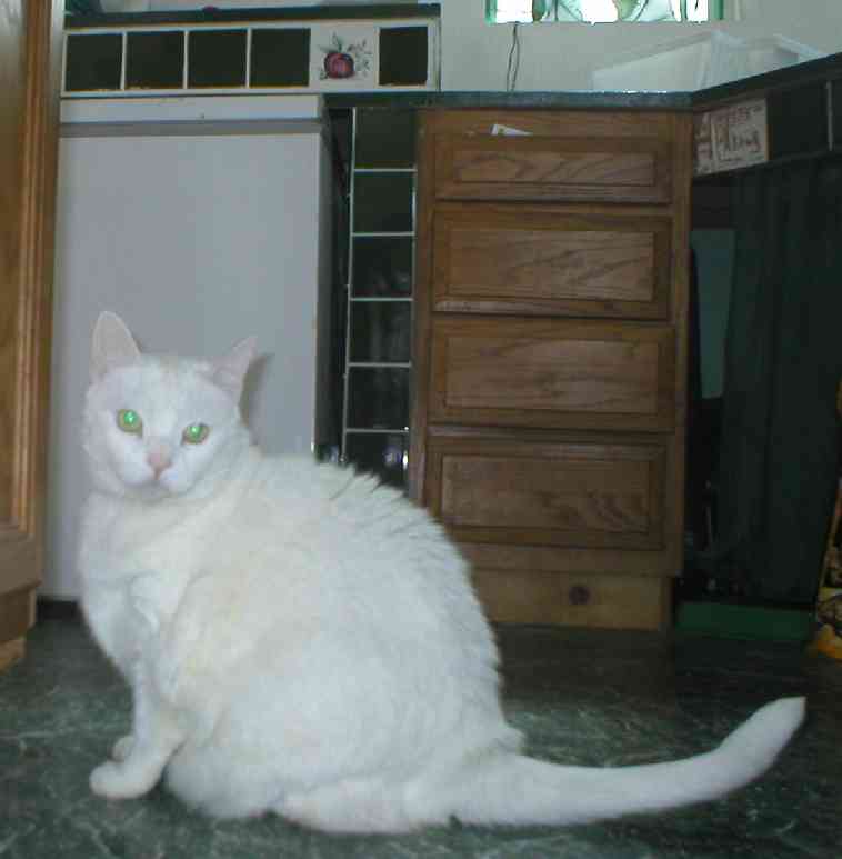 02 March 2004