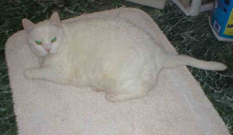 02 March 2004
