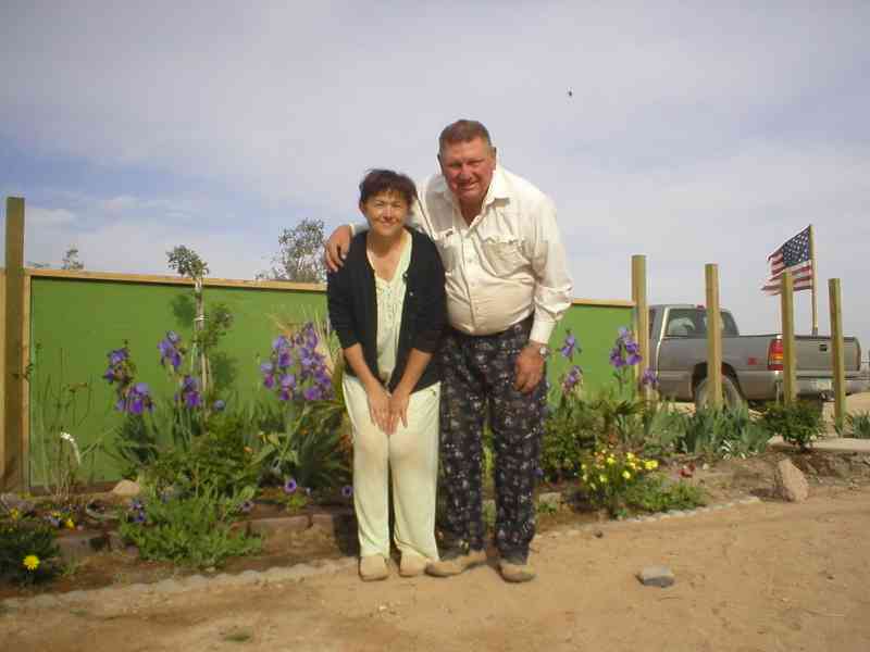 20 March 2004