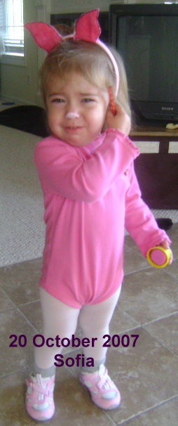 29 October 2007
