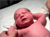 27 April 2006 - Welcome to Earth