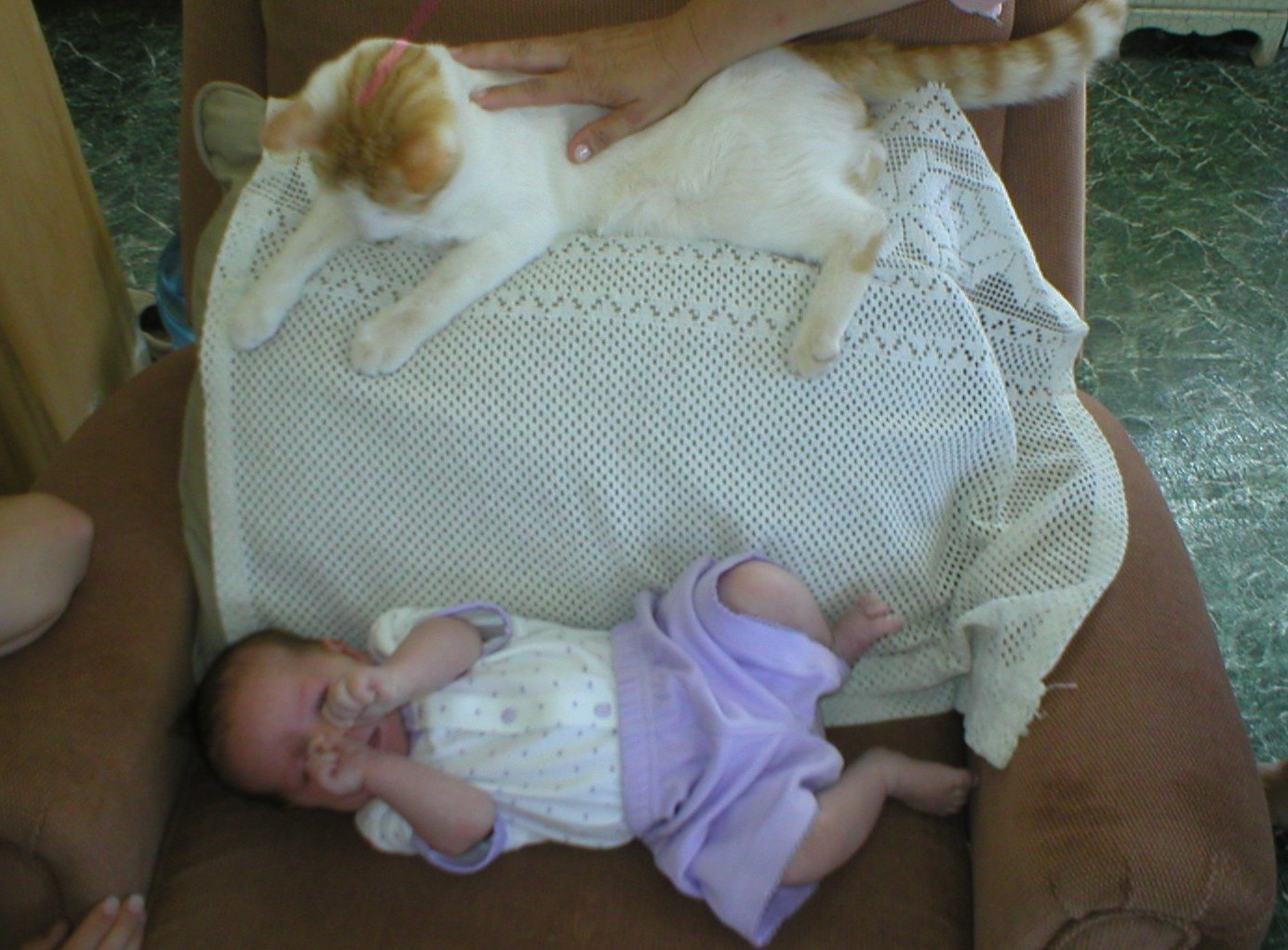 31 May 2006 - Gaia with our Cat [Job]