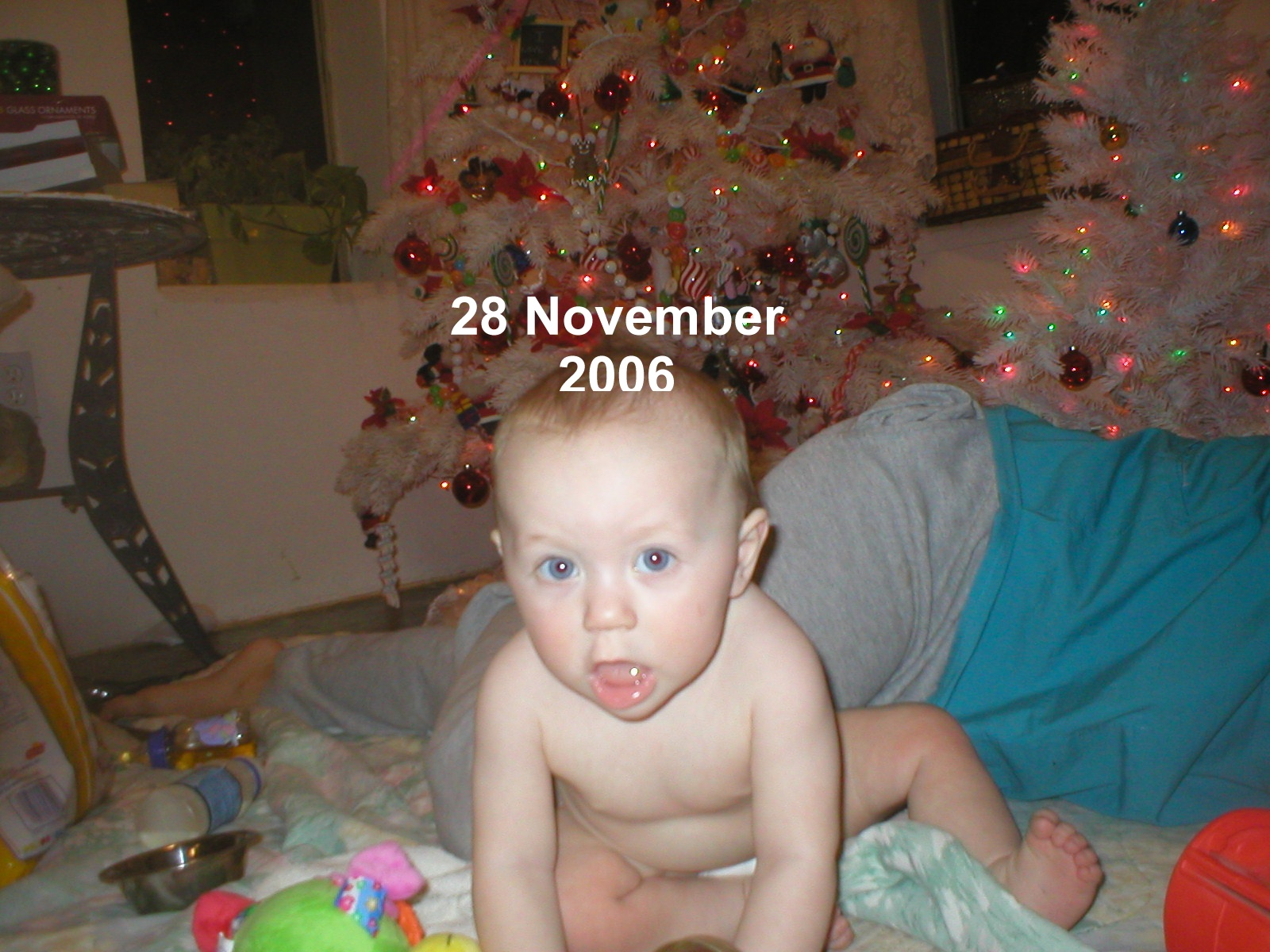 28 November 2006