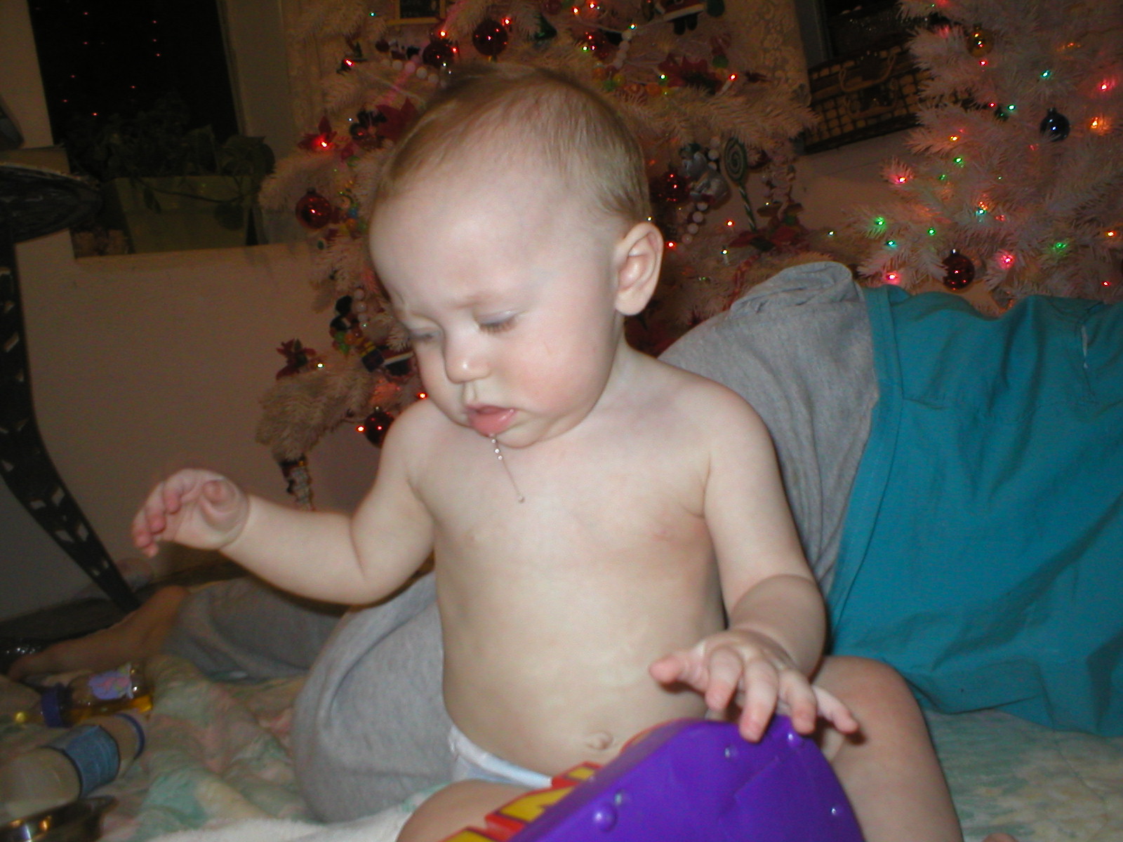 28 November 2006