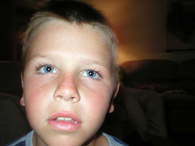 Year 2002 - Brandon
