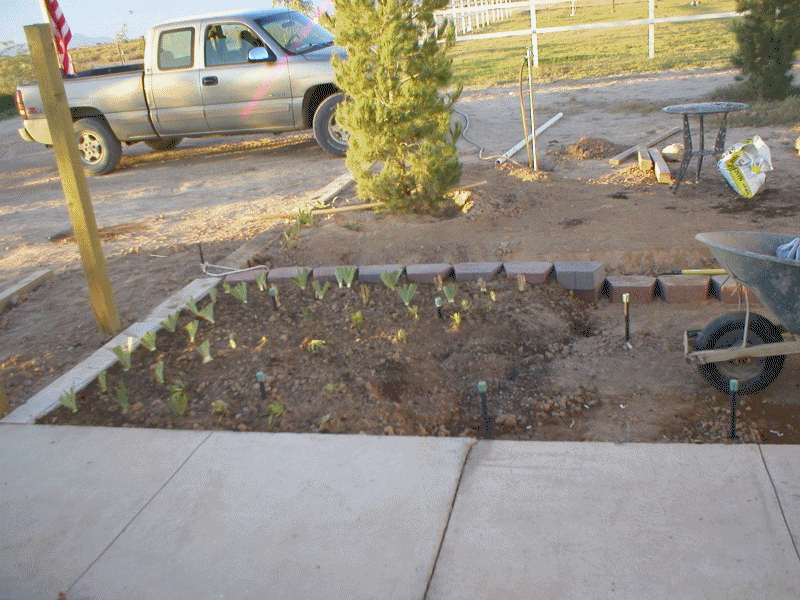 19 October 2004 - Marilee has planted more FLOWERS