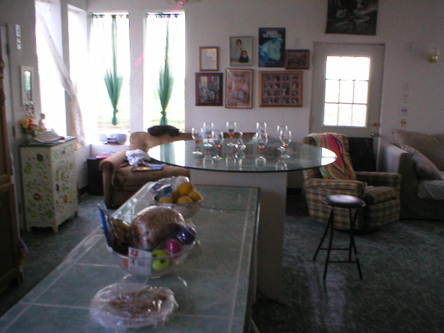 05 March 2005 - Saturday - Column is gone and now it is a Counter Top!!
